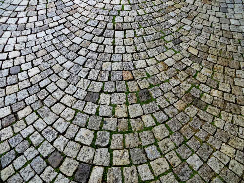 Allée pavée en grès Kandla. Une vue détaillée en plongée capture un motif en éventail complexe formé par de petits pavés cubiques en grès Kandla. Les pierres présentent une gamme de teintes naturelles allant du gris argenté au beige chaud, chacune avec une texture rustique et rugueuse. De la mousse verte et de la végétation fine poussent de manière organique dans les joints entre les pavés, ajoutant de la profondeur et un caractère vieilli à l'allée ou à la place. Le motif s'étend radialement, créant un sentiment de mouvement et de design architectural.